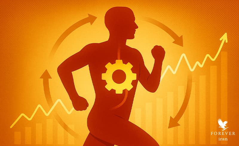 متابولیسم بدن